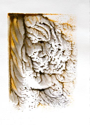 Tiger Tiger print