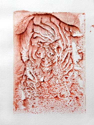 Tiger Tiger print