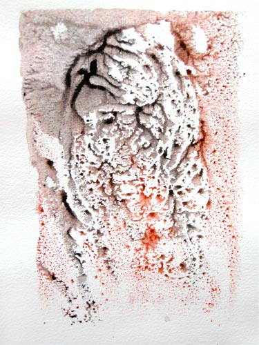 Tiger Tiger print