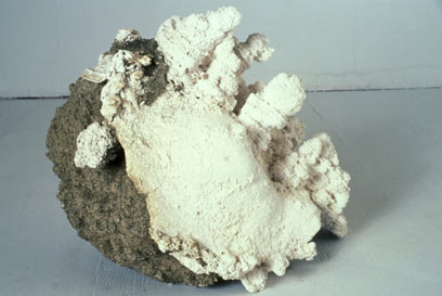 Vessel Henge Snow
