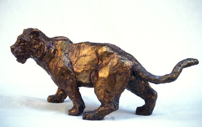 Tiger Tiger print