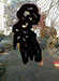 Olaudah Equiano Shade Portrait