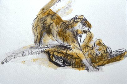 Tiger Courtship [set of 4]